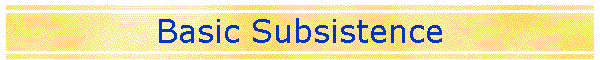 Basic Subsistence