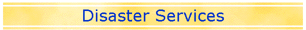 Disaster Services
